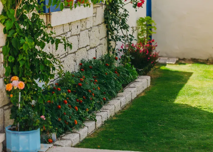 Alanarin 2* Αλακάτι